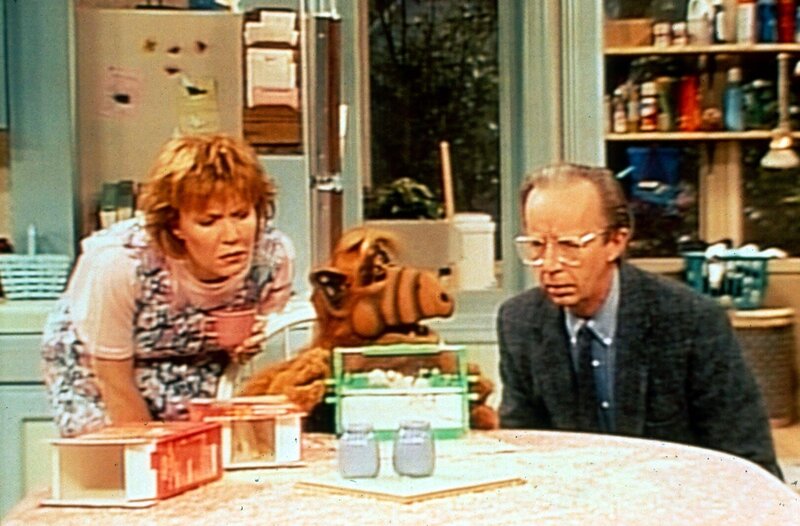 Willie (Max Wright, r.) und Kate (Anne Schedeen, l.) lassen sich von Alf (M.) über die wunderbare Welt der Ameisen aufklären … – Bild: Nitro