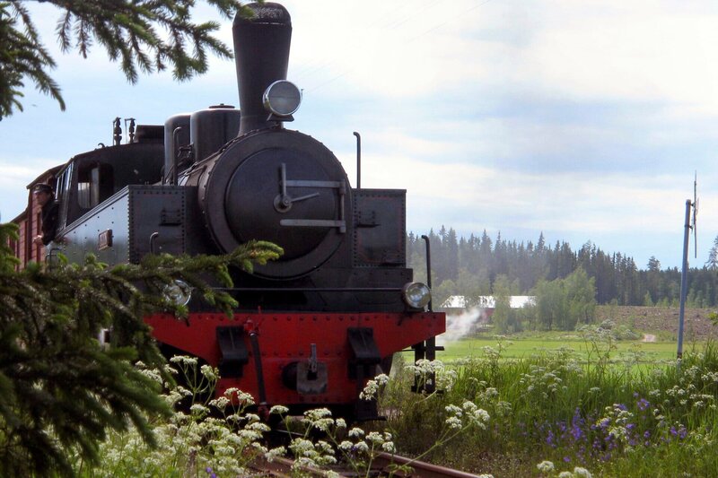 Idylle auf der Jokioinen-Schmalspurbahn. – Bild: SWR/​Susanne Mayer-Hagmann