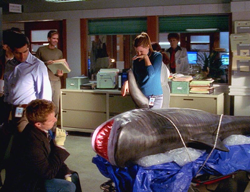 Bug (Ravi Kapoor, l.) bekommt einen außergewöhnlichen Fall: Im Maul eines riesigen Hais wurde ein menschlicher Arm gefunden. Von wem stammt er? – Bild: Honorarfreie Veröffentlichung nur im Zusammenhang mit VOX und dieser Sendung und bei Namensnennung.