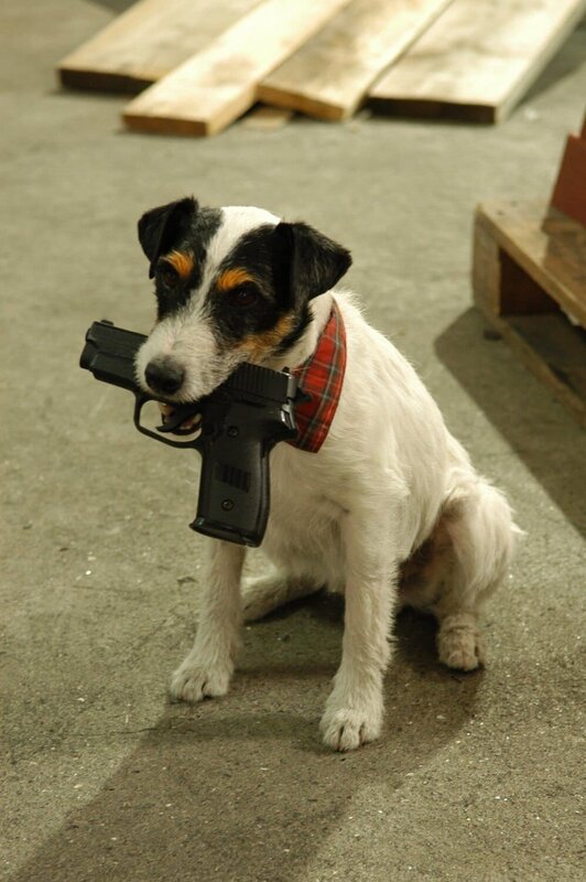 Da kommt Kalle Staffel 2 Folge: Die Schreckschraube Kalle hat die Pistole des Täters dingfest gemacht. – Bild: Heimatkanal