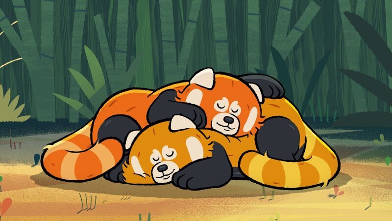 Endlich ist es geschafft: Panda-Männchen Litschi und das Weibchen Yoko haben zueinander gefunden. – Bild: ZDF