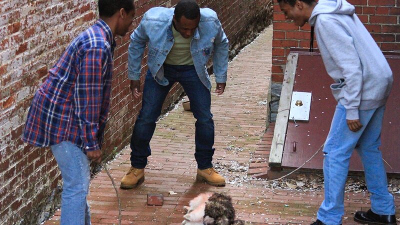 Recreation of teenagers Linwood, James & Anthony Briley killing a neighborhood cat. – Bild: Discovery Communications