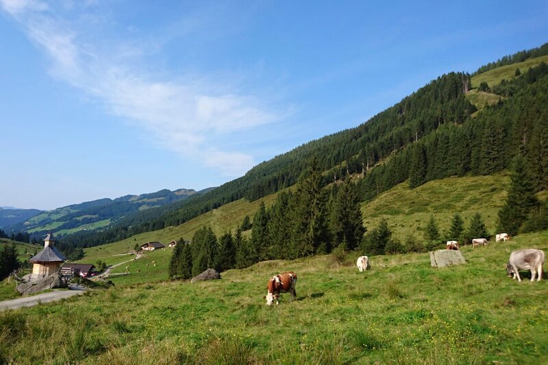 Landschaftsbild Schönangeralm – Bild: ServusTV / Degn Film / Barbara Meikl/Wildschönau Tourismus/Wildschönau Tourismus Landschaftsbild Schönangeralm – Bild: ServusTV / Degn Film / Barbara Meikl/Wildschönau Tourismus/Wildschönau Tourismus