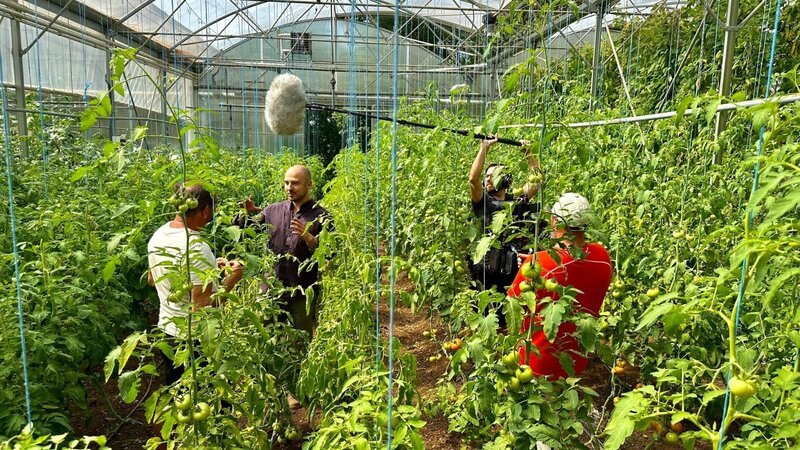 Julian Siegers im Bio-Gemüsegarten in Esch-sur-Alzette. – Bild: ORF/​Ralph Huber-Blechinger