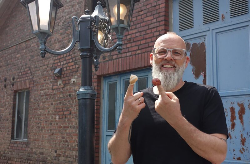 Das Ausbreiten der Städte führt bei vielen Pflanzen und Tieren zu besonders schneller Anpassung. Thomas D stellt die ursprüngliche Waldamsel und die Stadtamsel vor. Letztere hat kürzere Beine und ist viel stressresistenter als die Waldart und somit sehr gut an den lauteren und hektischeren Lebensraum angepasst. Schwer beeindruckt ist Thomas D aber auch von der Hain-Bänderschnecke und der angepassten Jagd-Taktik der Brückenkreuzspinne bei „Wissen vor acht – Natur“ – Bild: ARD/​Bavaria Entertainment/​Felix Raitz von Frentz