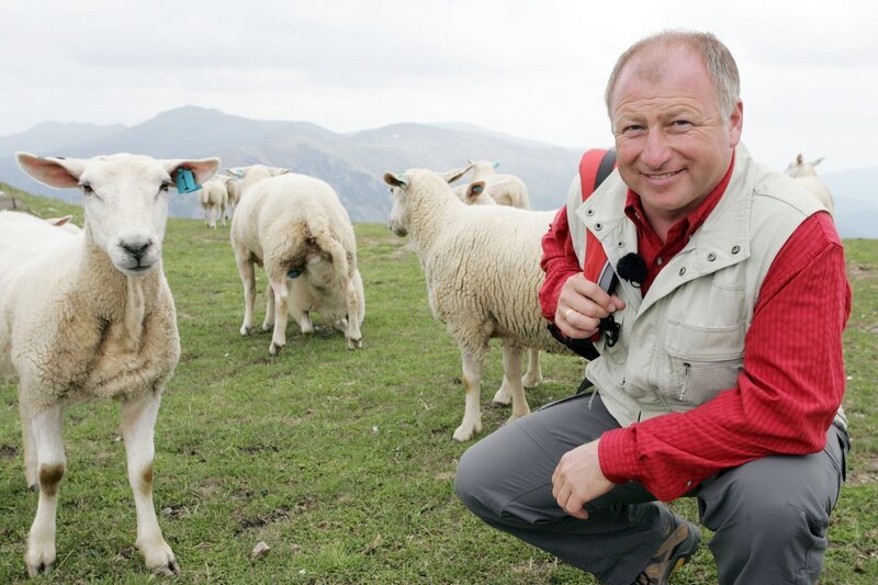 Harry Prünster auf der Kornockalm. – Bild: ORF/​Hans Leitner