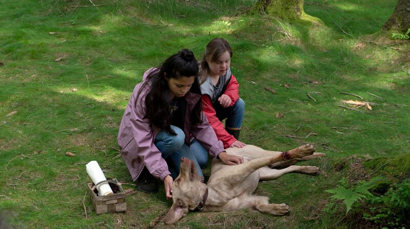Hündin Pari ist in die Falle eines Wilderers geraten. Ronja (Kaya Völkers, li.) und Toni (Anna Malner, re) sind besorgt. – Bild: ARD/​Maria Wiesler