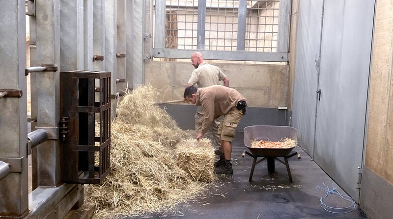 Bild: NDR/​Doclights/​Petra Tschumpel/​Petra Tschumpel