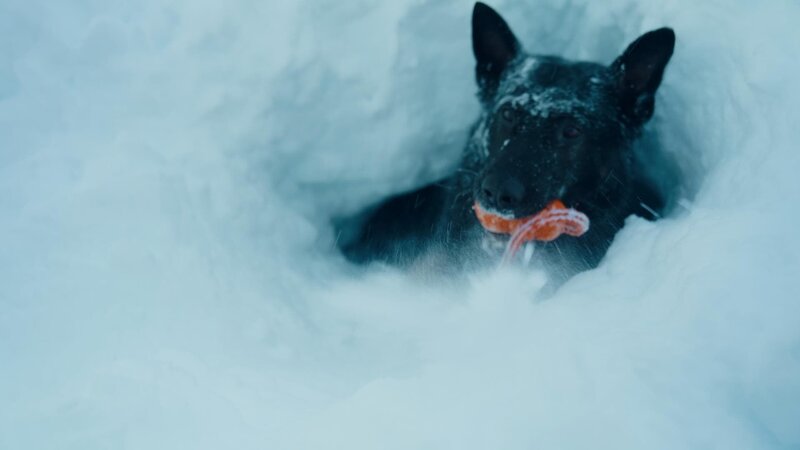 Bild: Amazon Web Services, Inc. or its affiliates.