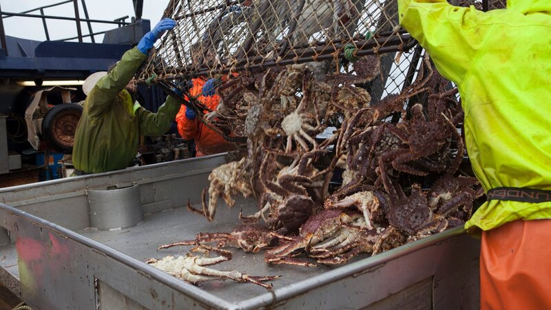 Cape Caution dumping crabs. – Bild: Discovery