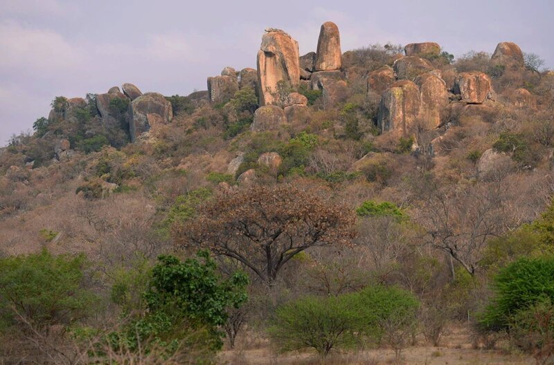 Die außergewöhnlichen Felsformationen des Matobo-Nationalparks im Südwesten Simbabwes gelten der indigenen Bevölkerung seit Urzeiten als heilig und werden als Kultstätten genutzt. – Bild: Elephant Doc