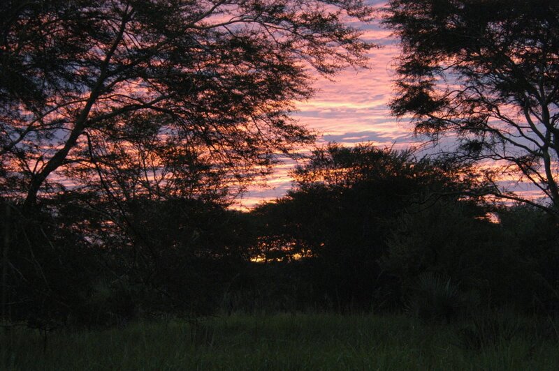Der Gorongosa National Park ist über 4000 km_ groß und liegt am südlichen Ende des Afrikanischen Grabenbruches. Sein Gebiet umfasst sowohl die Ebenen mit Flüssen und dem Lake Urema, die Hochplateaus wie auch den über 1800 Meter hohen Mount Gorongosa. – Bild: BR/​Bernd Strobel