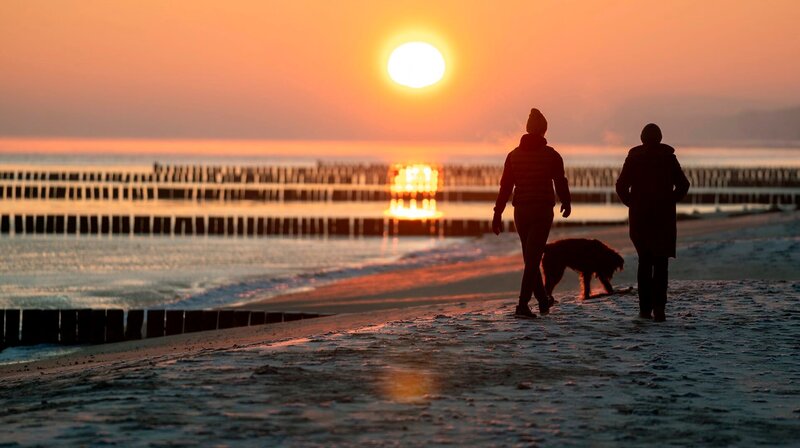 Ellen Norgaard (Rikke Lylloff) und Karin Lossow (Katrin Sass) mit Hund Lucky am Strand. – Bild: NDR/​ARD Degeto/​Oliver Feist