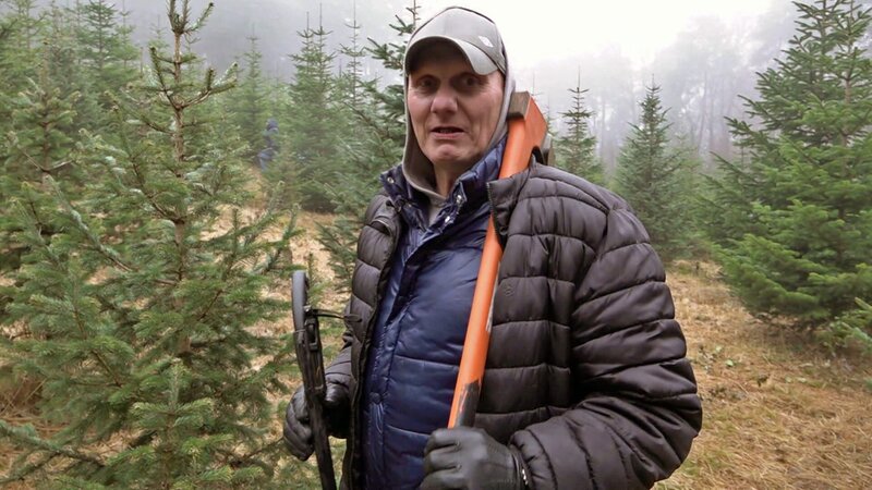 Bald steht Weihnachten vor der Tür. Und weil Elvis sich um eine ältere, kranke Nachbarin kümmert, will er ihr gern eine besondere Überraschung bereiten. Dafür möchte er einen Weihnachtbaum besorgen, den er selbst schlagen will. – Bild: RTLZWEI