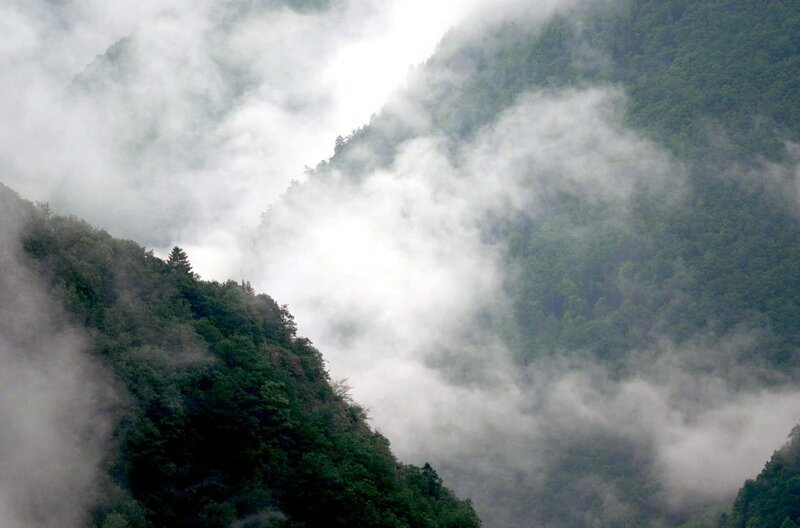 Schon zu Urzeiten fanden die Bewohner der Pyrenäen in den Bergen eine Vielzahl von Heilpflanzen. – Bild: Elephant Doc