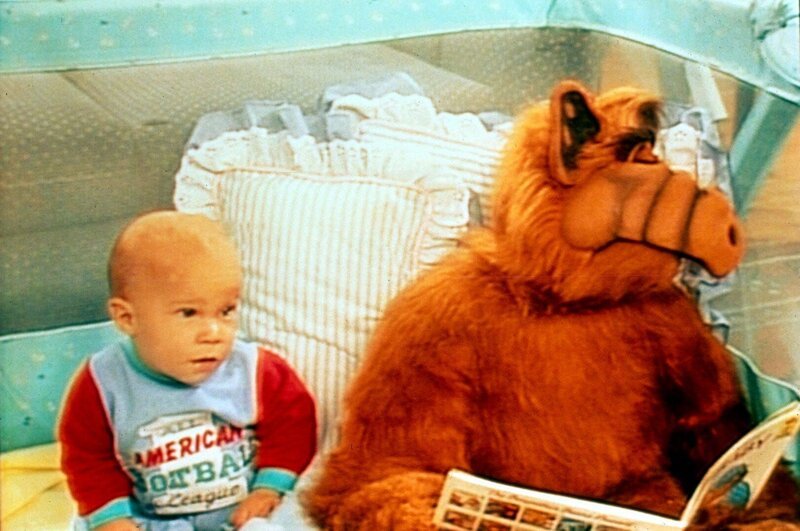 Alf nimmt seine Aufpasserpflichten durchaus ernst, auch wenn er hin und wieder vom Schlaf übermannt wird … – Bild: Nitro