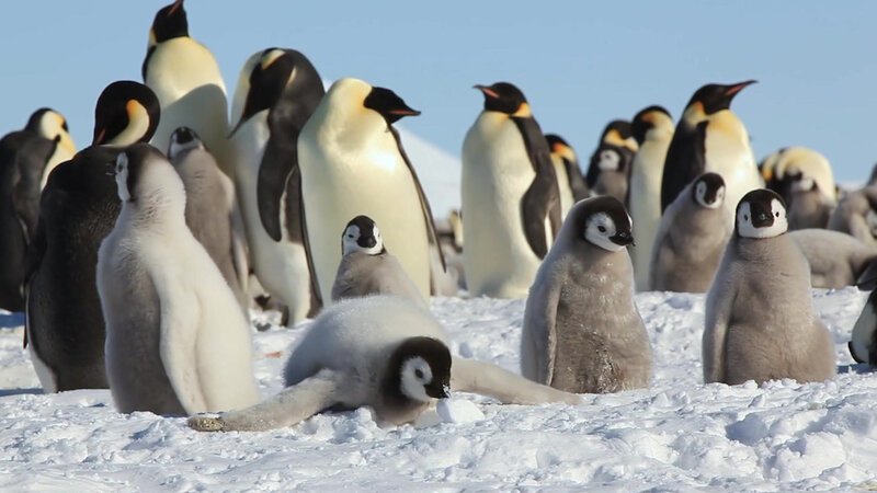 . – Bild: Bergblick . – Bild: Bergblick