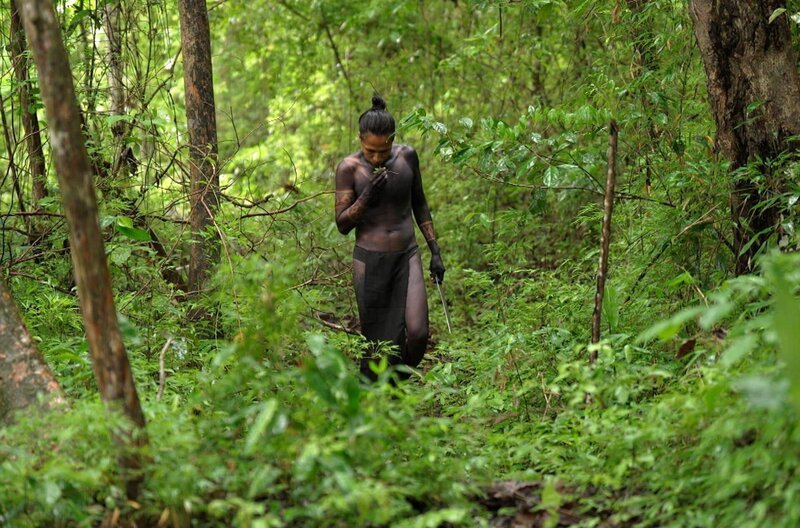 Der Lebensraum der Emberá in Panama erstreckt sich von den Waldflächen der Bayano-Region bis zum unwirtlichen Darién-Dschungel. – Bild: Elephant Doc