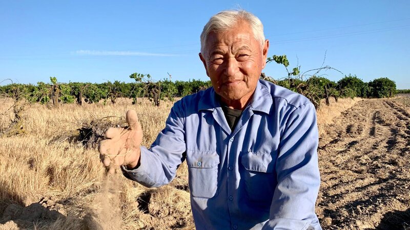 Mas Masumoto ist Bio-Bauer im Central Valley in Kalifornien, dem Obstgarten Amerikas. Seine Felder leiden unter der schlimmen Dürre im Westen der USA. – Bild: NDR/​Anna Julia Leier