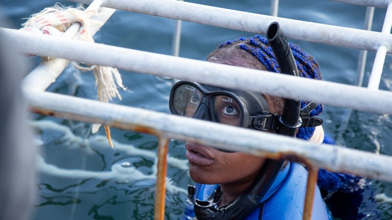 Taucher im Haikäfig – Bild: Warner Bros. Discovery