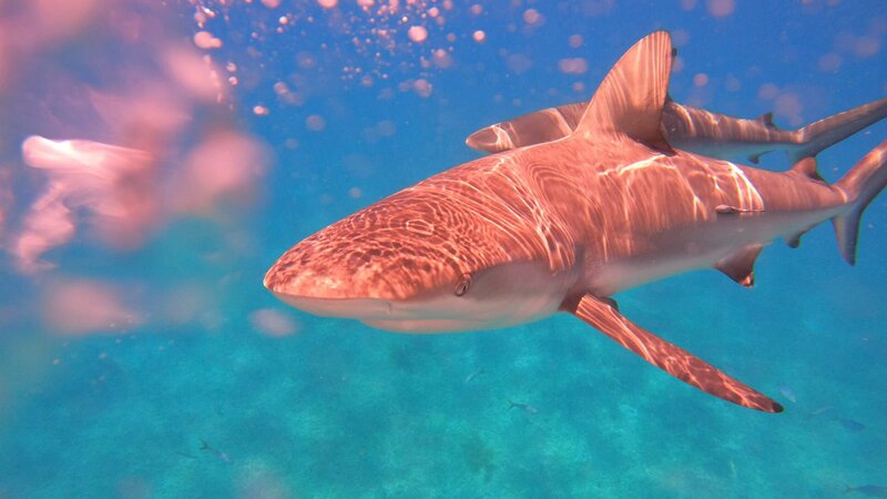 . – Bild: Warner Bros. Discovery