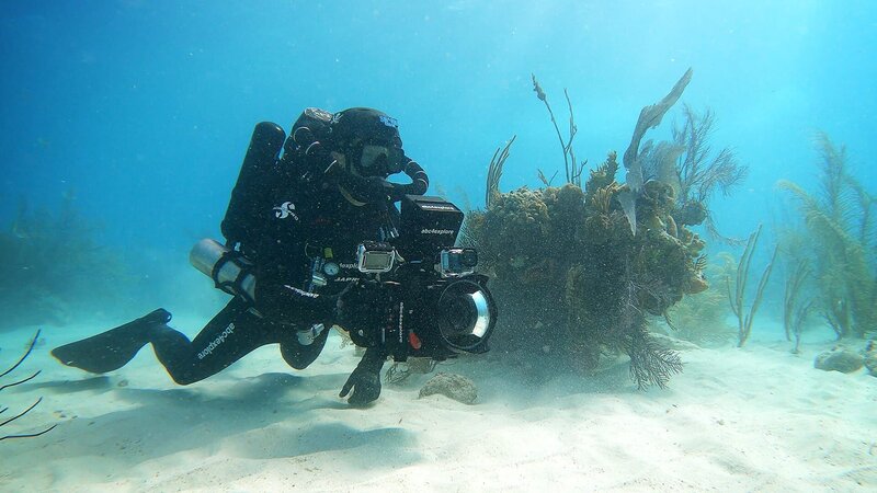Taucher im Wasser mit einer Kamera. – Bild: Warner Bros. Discovery