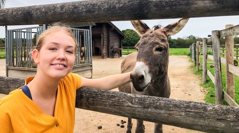 Nina macht Bekanntschaft mit einem geretteten Esel. – Bild: BR/​Text und Bild Medienproduktion GmbH & Co. KG/​Marcella Müller