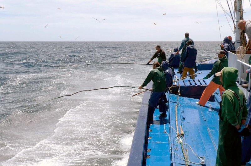 Die letzten Angelruten-Fischer der Azoren: Wegen der Überfischung der Meere wurde ihnen eine strenge Quote auferlegt. – Bild: SWR/​Lourdes Picareta