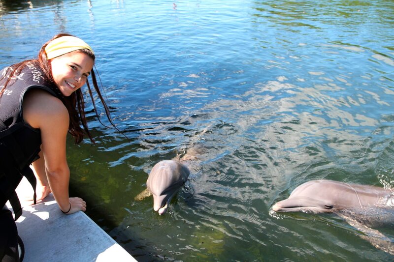 ARD/​BR ANNA UND DIE WILDEN TIERE, „Wie pupst der Delfin?“, am Samstag (24.01.15) um 07:10 Uhr im ERSTEN. Anna kann ganz nah an die Delfine heran. Delfine sind übrigens keine Fische, sondern Wale – also Säugetiere. Das wird oft verwechselt. – Bild: BR/​Text und Bild Medienproduktion