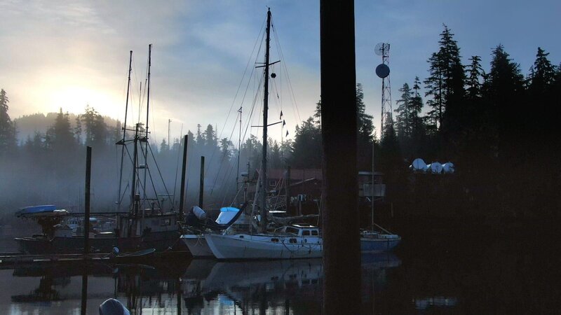 The Port Protection Marina. – Bild: David Lovejoy /​ National Geographic