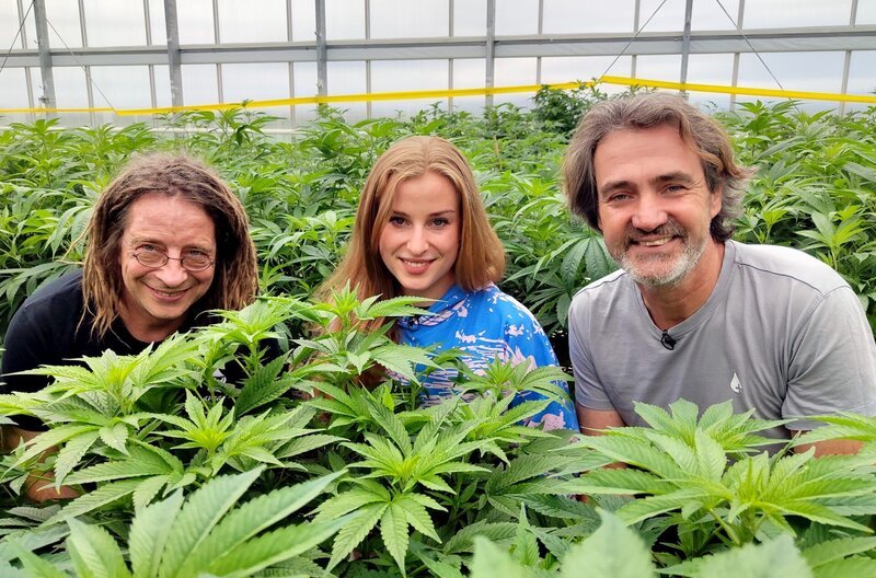 Kommerzieller Cannabis-Anbau, ganz legal: Influencer Micha Knodt, Cannabis-Sommelière Adele Hollmann und Züchter Stefan Strasser (v.l.) – Bild: Kobalt