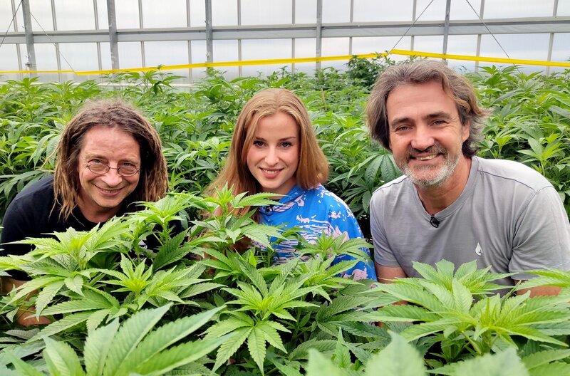 Kommerzieller Cannabis-Anbau, ganz legal: Influencer Micha Knodt, Cannabis-Sommelière Adele Hollmann und Züchter Stefan Strasser (v.l.) – Bild: Kobalt