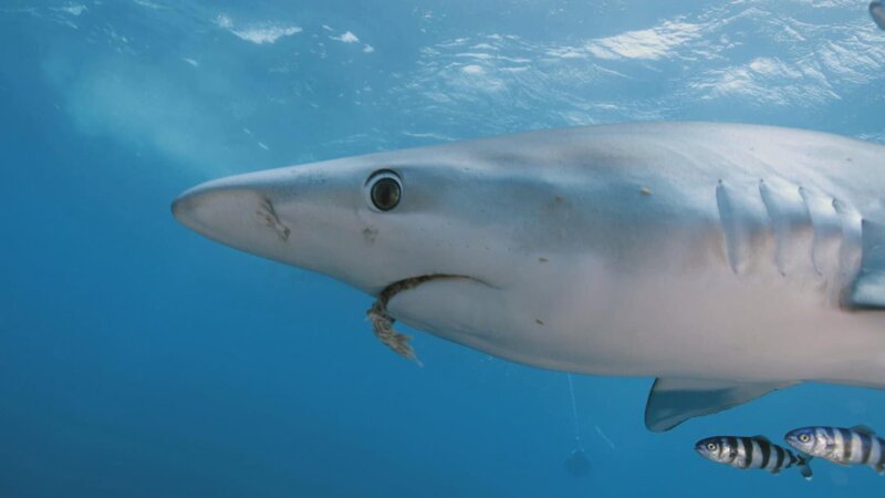 . – Bild: Warner Bros. Discovery