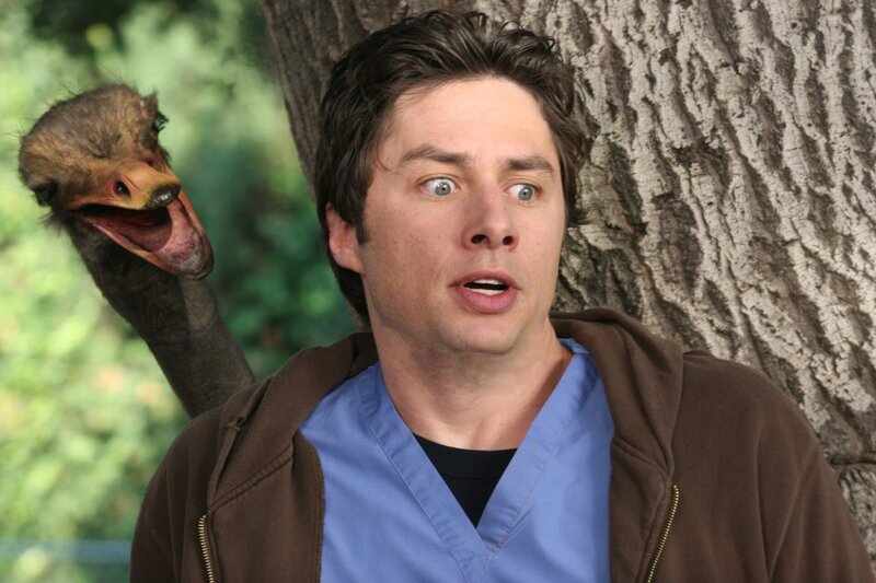 Da Mr. Sutton in seinem garten Strauße züchtet, wird der Ausflug von J.D. (Zach Braff) und Turk  ein echtes Abenteuer … – Bild: Touchstone Television Lizenzbild frei