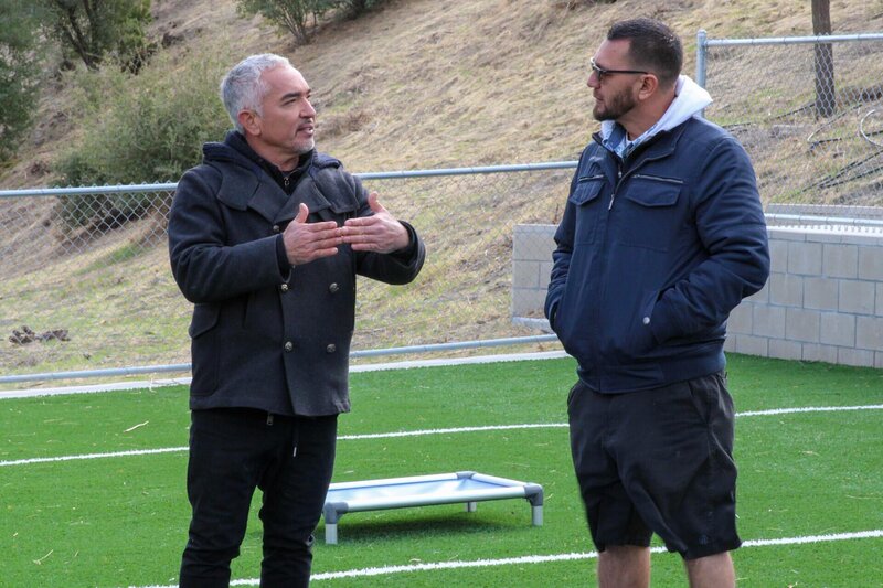 Cesar Millan (l.); Conrad (r.) – Bild: National Geographic