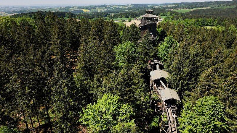 Baumkronenweg. – Bild: ORF Baumkronenweg. – Bild: ORF