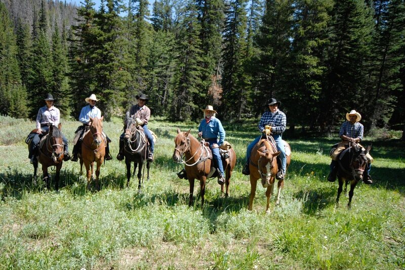 Wilde Reise mit Erich Pröll: „Mustangs – Lebende Legenden: Die nach Europa reisen“, Die drei jungen Mustangs sind weiterhin in La Barge und werden auf die weiteren Stationen für die Reise nach Österreich vorbereitet. Mustangs werden in Nordamerika von Freizeitreitern und auf Ranches als Cowboypferd verwendet. Eine Besonderheit bietet eine Working Cow Ranch, die am Fuße der Bighorn Mountains über 1.000 Rinder und an die 100 Pferde betreut. Dazu gehört auch eine Guest Ranch – die Hideout Ranch. Hier können Gäste einzigartige Trailritte machen und auch je nach anfallender Rancharbeit echtes Cowboy Feeling erleben. Hier gibt es eine echte Besonderheit. Die City Slickers können hier auch auf Mustangs reiten. Auf der Ranch wurden bereits zwölf Mustangs adopiert, die hier trainiert und zu exzellenten Reitpferden ausgebildet wurden. Für die Ranch gehört der Mustang als Teil vom Westen dazu und möchte das auch an die Reitgäste weitergeben. Für diese Pferde ist der Ritt in die Berge auf über 3.500 Meter Höhe kein Problem. Sie sind zäh, genügsam und leicht zu reiten. Trittsicher im steilen, unwegsamen Gelände und ausdauernd in der Steppe. Im Film wird eine Reitgruppe begleitet, die den Eindruck vermittelt, aus einem Edelwestern entsprungen zu sein. Profi Reiter aus den Niederlanden waren eine Woche lang auf Mustangs unterwegs und sie erzählen voll Begeisterung über ihre Erlebnisse. Der Einsatz der Mustangs hier als Wanderreitpferde, als Partner im schwierigem Gelände und auch auf einen Teil Geschichte Amerikas zu sitzen macht diese Pferde einmalig. – Bild: ORF/​Pröll Film Production/​Erich Pröll