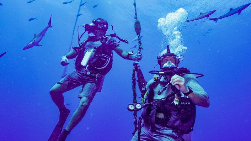 Paul De Gelder and Alec underwater, surrounded by sharks – Bild: Discovery, Inc.