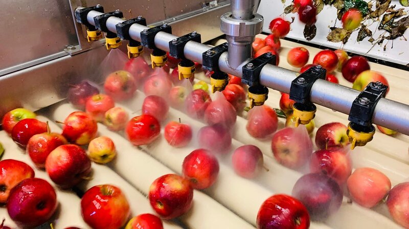 Farbe und Größe ist bei Mostobst egal. Saftig sollte der Apfel aber sein! – Bild: NDR/​Katrin Richter