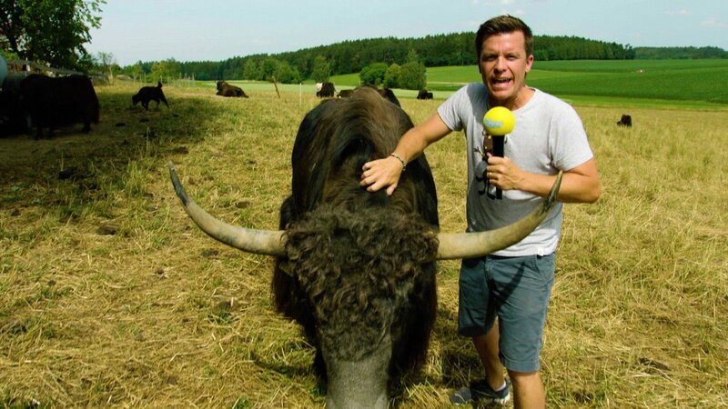 Benedikt Weber – Bild: Courtesy of Disney+