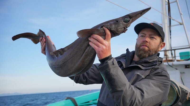 Forrest Galante holding a deep sea species of shark – Bild: Warner Bros. Discovery, Inc.