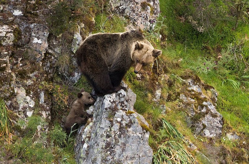 An der abwechslungsreichen Küstenlinie Nordspaniens finden sich traumhafte Buchten. Weitere Fotos erhalten Sie auf Anfrage. – Bild: NDR/​Hans-Peter Kuttler