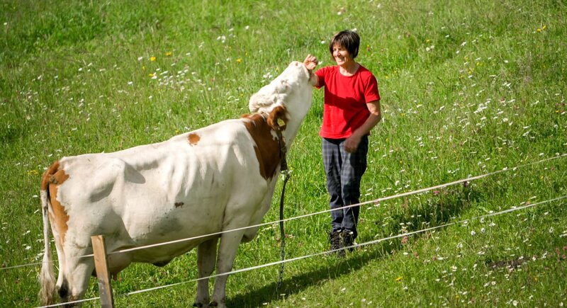 Die Bäuerin Maria Gapp – ihr Gapphof ist seit 380 Jahren im Familienbesitz. In sechzehnstündigen Arbeitstagen bewirtschaftet sie das Gut im wesentlichen selbst, nur für die Heuernte holt sie sich etwas Unterstützung. – Bild: BR/​ORF/​emb Film/​Dominik Walser