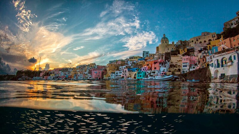 Bild: NDR/​doclights GmbH/​Terra Mater Studios GmbH/​Boreales, Pasquale Vassallo Biosphoto