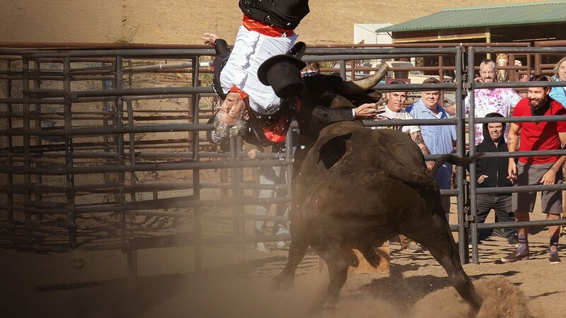 Jackass Forever – Bild: RTL