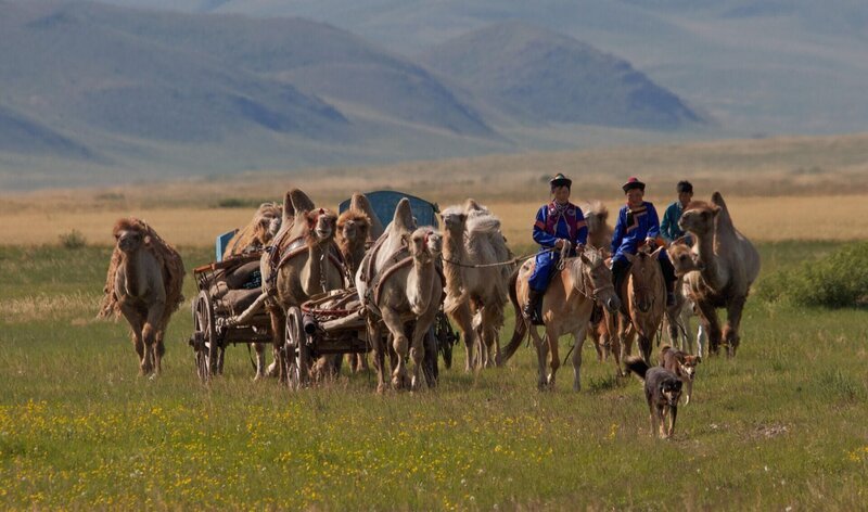 Mongolische Nomaden und ihre Tiere während der Wanderung.  +++ Die Verwendung des sendungsbezogenen Materials ist nur mit dem Hinweis und Verlinkung auf RTL+ gestattet. +++ – Bild: RTL /​ Terra Mater /​ Interspot /​ Franz Hafner /​ Die heiligen Quellen