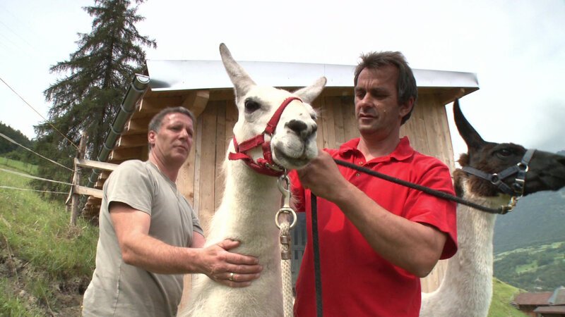 . – Bild: Bergblick . – Bild: Bergblick