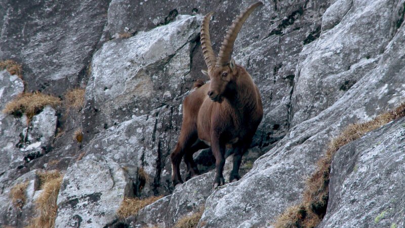 . – Bild: Bergblick