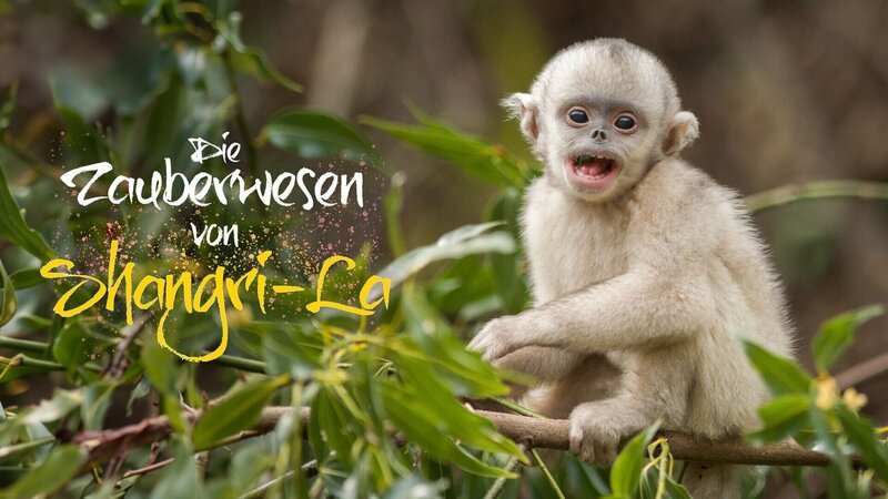 – Bild: RTL – Bild: RTL