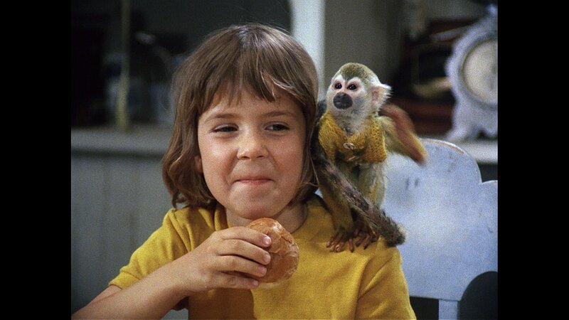 Annika (Maria Persson) und der kleine Affe Herr Nilsson wissen auch nicht, wo man einen „Spunk“ auftreiben soll. – Bild: ZDF